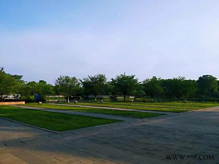 【万水化工商城】抗氧剂1098 巴斯夫 复合抗氧剂 受阻酚 电线电缆抗氧化塑料抗老化剂抗黄边抗氧剂（替代巴斯夫1098）图7