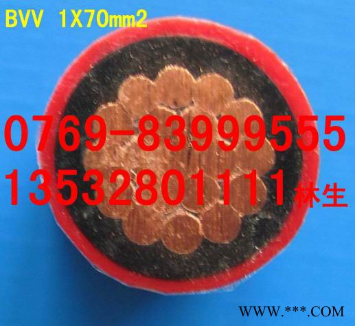 供应成天泰BVV，电线电缆