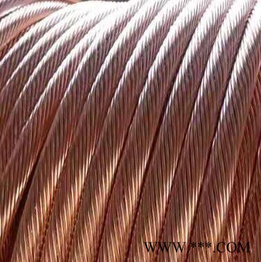 湖州至鸿镀铜钢绞线编织软铜线铜包钢绞线 多股镀铜线量大优惠宏电厂家批发图3