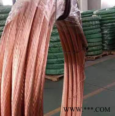 湖州至鸿镀铜钢绞线编织软铜线铜包钢绞线 多股镀铜线量大优惠宏电厂家批发图2