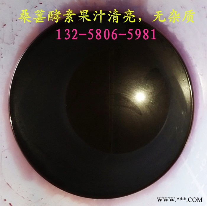 椰汁、椰子渣固液分离设备   水果、蔬菜饮料加工榨汁机  脱水液压压榨机图8