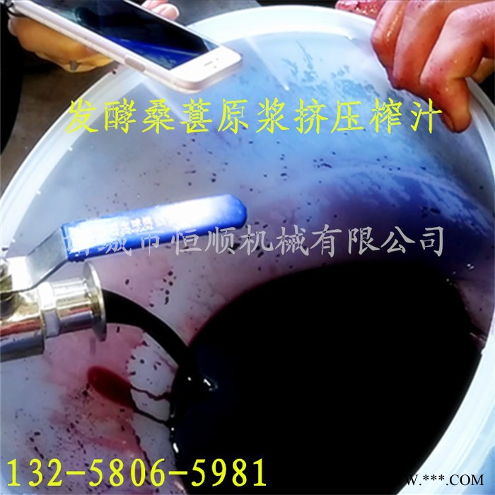 椰汁、椰子渣固液分离设备   水果、蔬菜饮料加工榨汁机  脱水液压压榨机图6