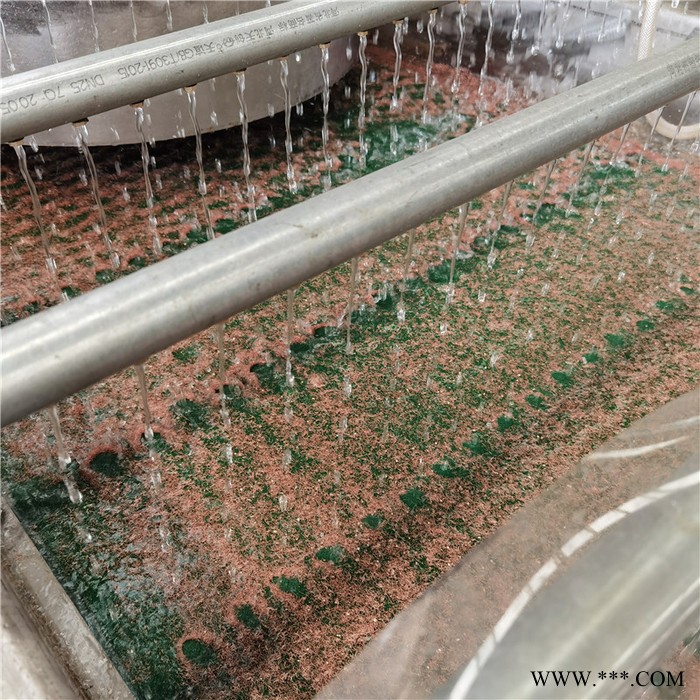 凯迪湿式铜米机 铜塑分离水式设备 铜米机湿式分离设备 水洗铜米机图7