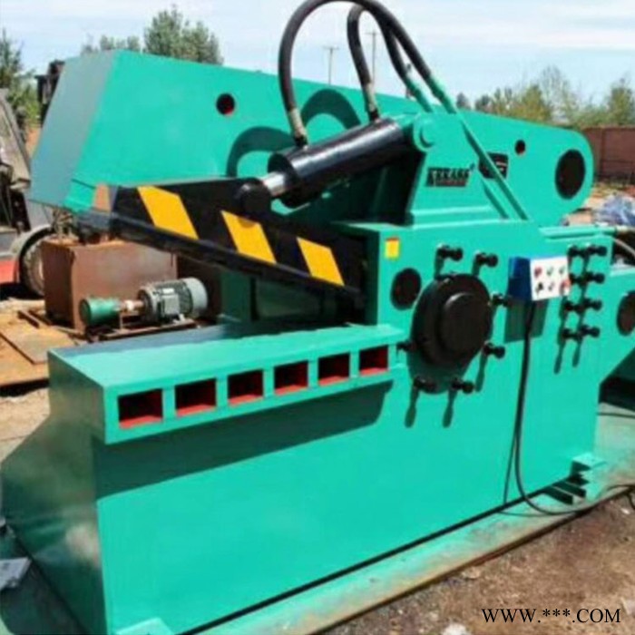 废钢废铁钢筋剪断机 小型钢铁剪断设备 钢筋剪切机 品质保障图6