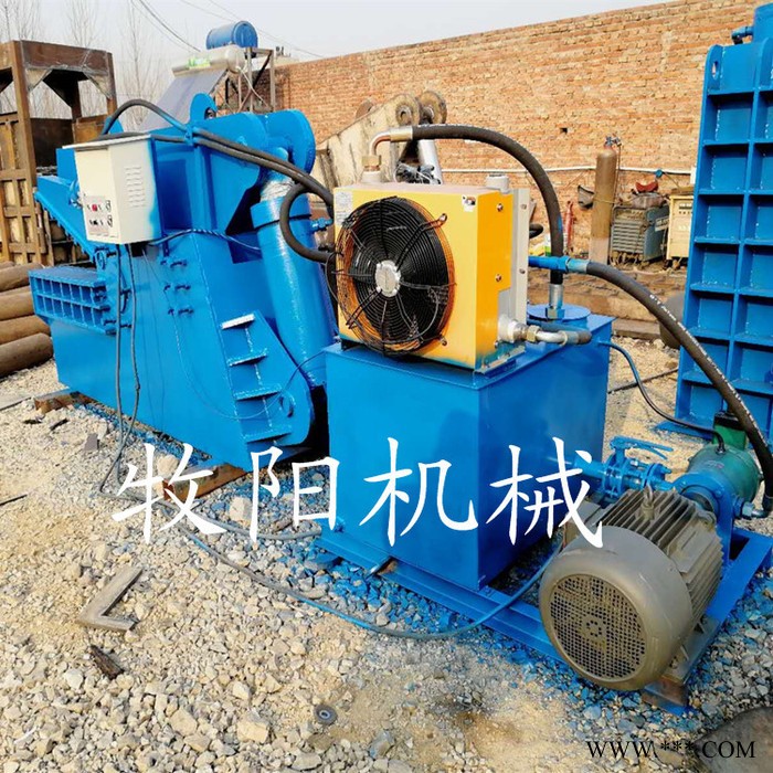 新型液压老虎头钢铁板剪切机 废钢废铁虎头剪切机图3