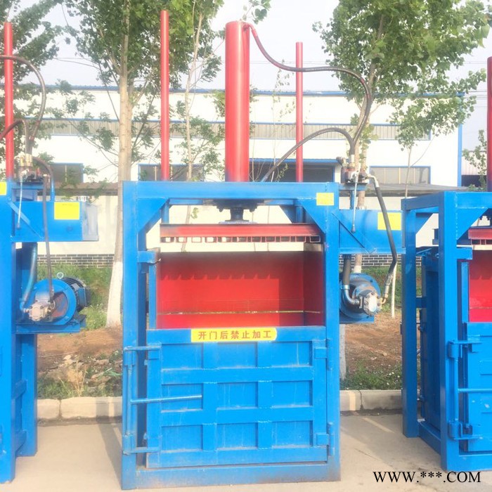 编织袋废金属压缩打包机 30吨立式液压打包机 小型双缸打包机图6