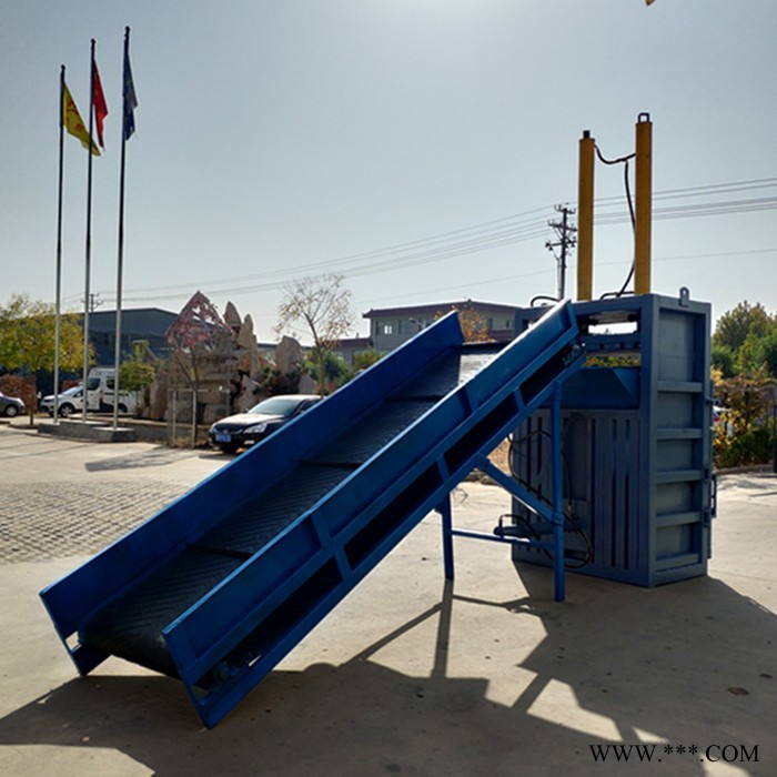 铁麒麟 废铁丝压缩机 塑料瓶压块机 废纸打包机 编织袋捆扎机 打包机图5