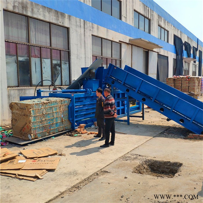 双鹰高品质废纸箱打包机捆绑机 金属打包机 液压废纸打包机图2