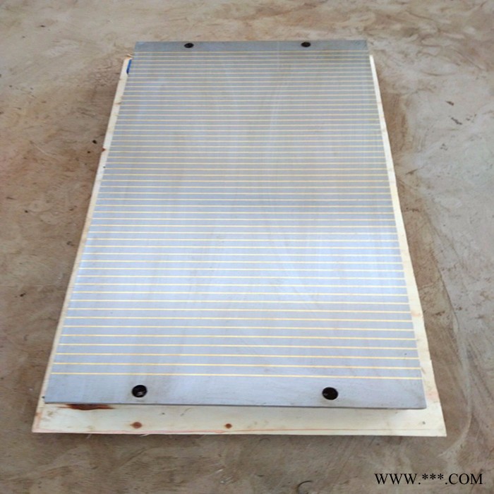忠磁厂家**X11250x600电磁吸盘 安装简便使用方便质量保障忠磁供应矩形电磁吸盘图2