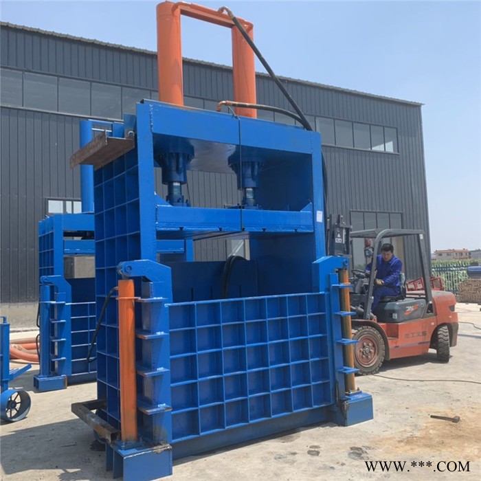 睿迪RD-DBJ立式液压打包机  瓶子废铁废纸打包机   废布条压块机图4