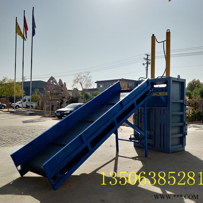 铁麒麟lf-200 卧式打包机金属液压打包机厂家图4