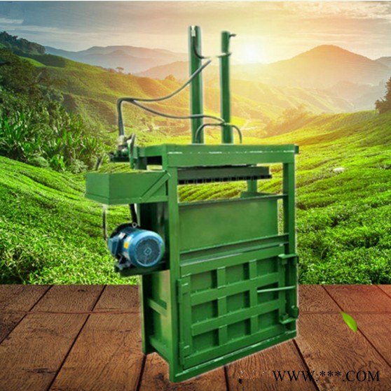 金属废品打包机  易拉罐打包机 新款立式液压打包普航图8