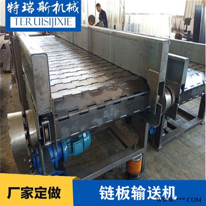 厂家供应 重型链板输送机 特瑞斯载重链板输送机 废铁废料废钢碳钢链板输送机图5