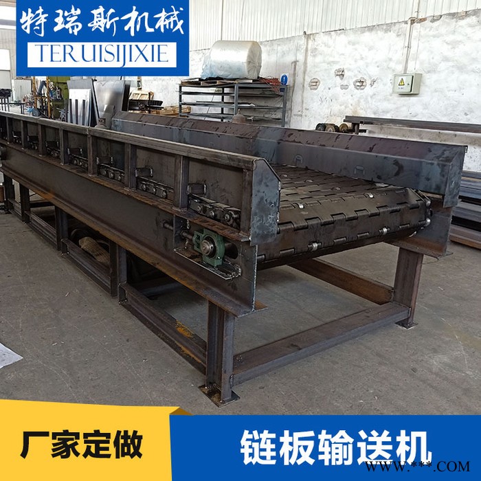 厂家供应 重型链板输送机 特瑞斯载重链板输送机 废铁废料废钢碳钢链板输送机图6
