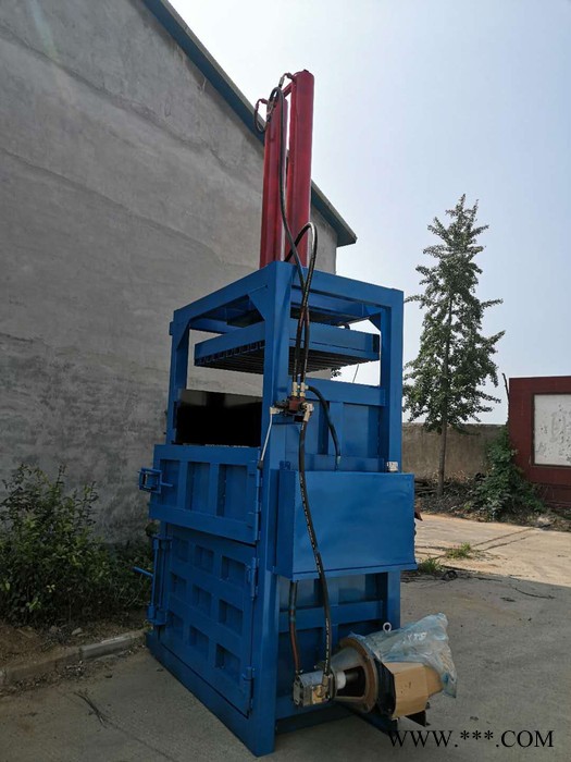 鲁科lk-dbj塑料薄膜打包机 废铁桶液压打包机 液压打包机价格图3