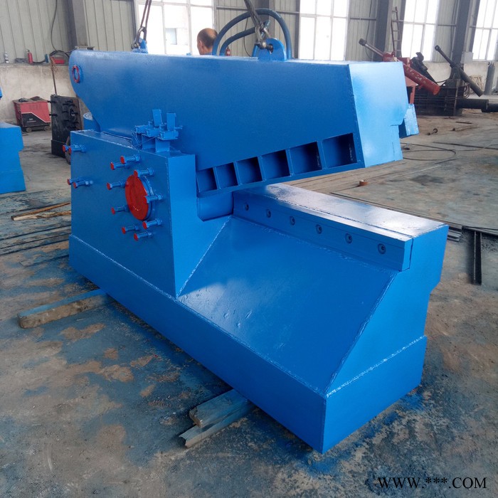 仁之泰供应龙门式剪切机 彩钢瓦废铁液压龙门剪 废旧金属切断机价格图4
