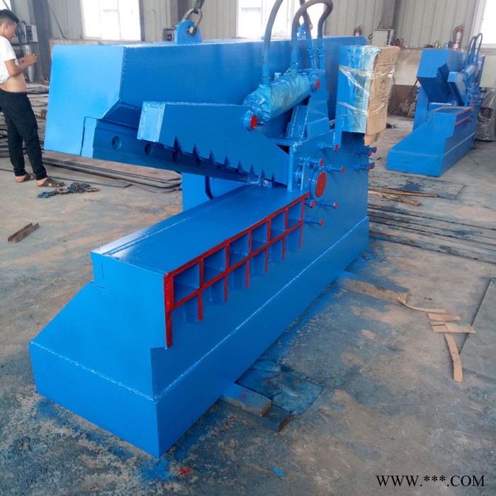 仁之泰供应龙门式剪切机 彩钢瓦废铁液压龙门剪 废旧金属切断机价格图2
