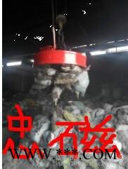 忠磁机械专业生产各种型号电磁吸盘，价格公道，质量保证图6