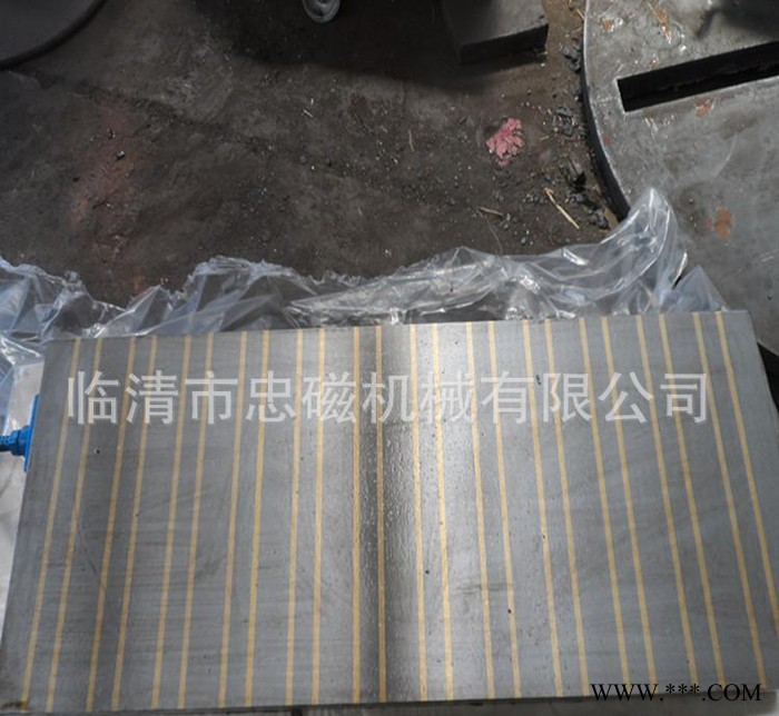 忠磁 250x600磨用矩形电磁吸盘 直销 量大从优图2