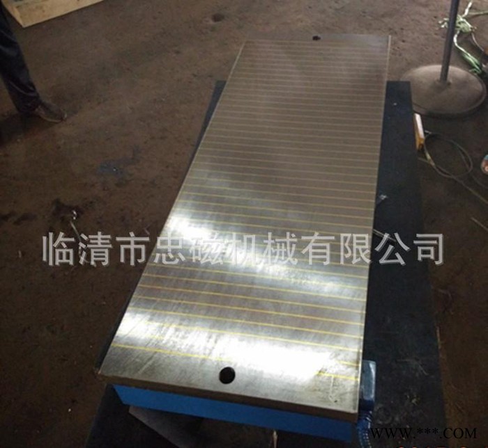 忠磁专业生产维修磨用电磁吸盘X11  600*800质量保障价格优惠图3
