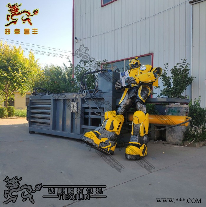 双鹰 卧式废纸打包机价格 自动上料卧式液压打包机 卧式打包机图3