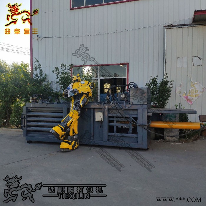 双鹰 卧式废纸打包机价格 自动上料卧式液压打包机 卧式打包机图5