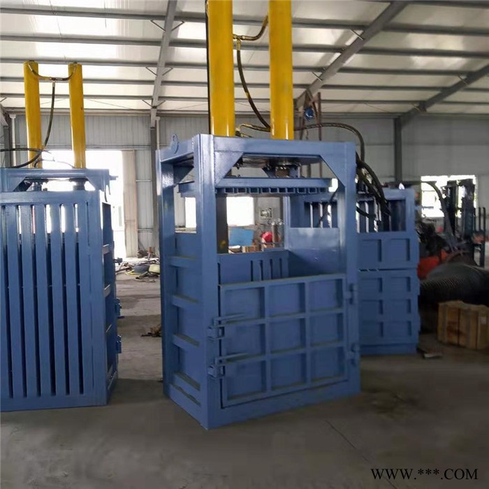 双缸立式打包机 双鹰立式打包机 废纸立式打包机 压缩机图2