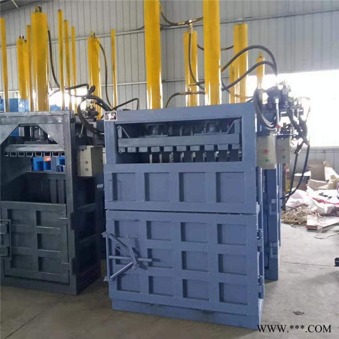 双缸立式打包机 双鹰立式打包机 废纸立式打包机 压缩机图8