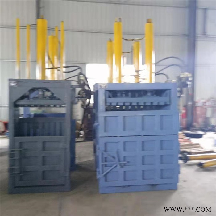 双缸立式打包机 双鹰立式打包机 废纸立式打包机 压缩机图4