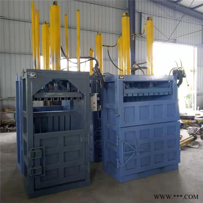 双缸立式打包机 双鹰立式打包机 废纸立式打包机 压缩机图3