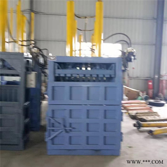 双缸立式打包机 双鹰立式打包机 废纸立式打包机 压缩机图6