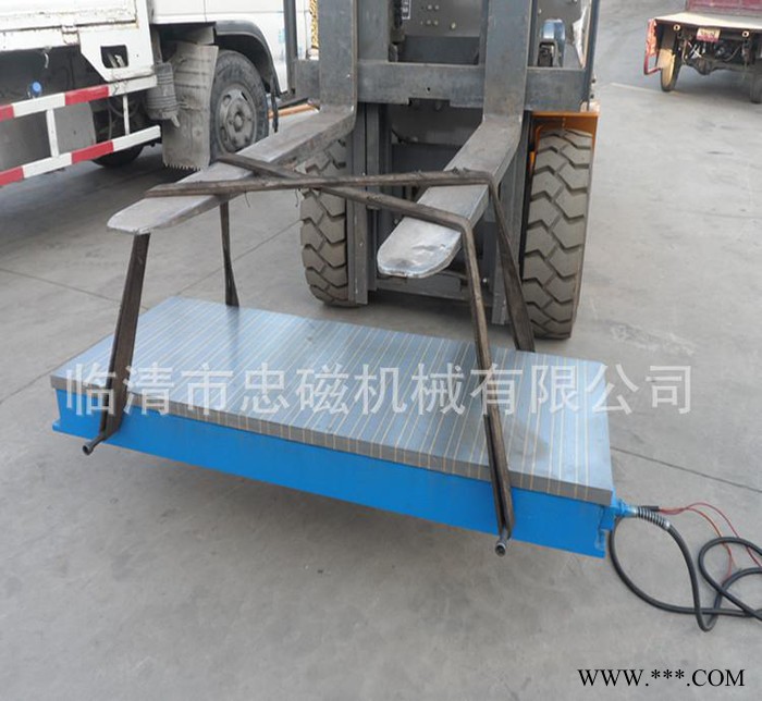 X91 300X1200铣刨强力电磁吸盘 直销加工定做保证质量图3