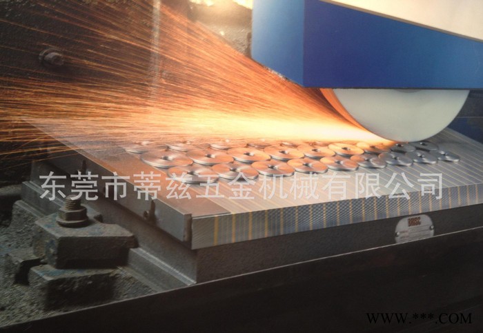 BRISC中目电磁吸盘-磨削用EMA-2040 磨床/大水磨图2