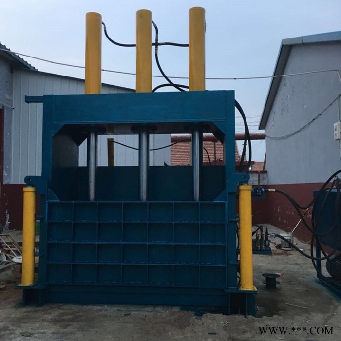 金亿 安徽立式打包机 立式打包机价格 立式打包机批发图8