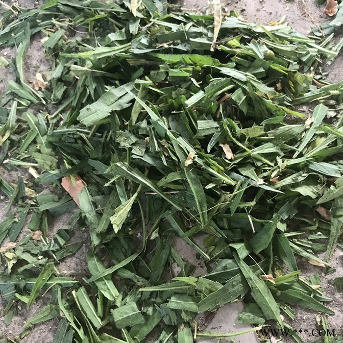 全自动卧式牧草压块机 废纸打包机 运输方便 液压秸秆草打包机图6