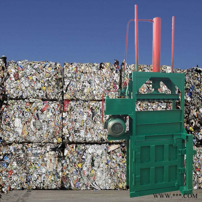 立式塑料薄膜打包机 自动推包布匹压包机 麻袋打包机图3