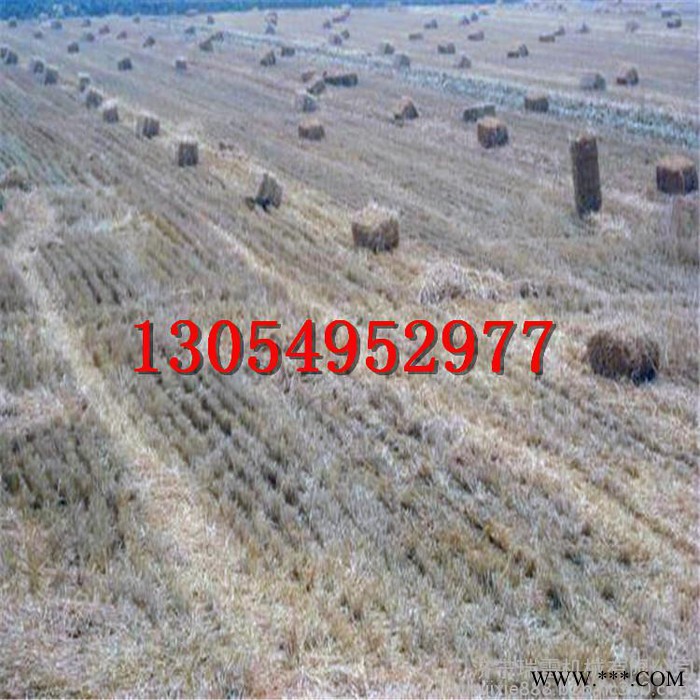 打包机 青储秸秆打捆机 曲阜瑞雷自动捡拾厂家**牧草饲料打包机 液压图8