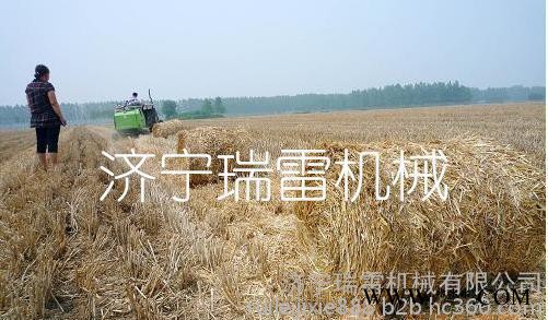 打包机 青储秸秆打捆机 曲阜瑞雷自动捡拾厂家**牧草饲料打包机 液压图3
