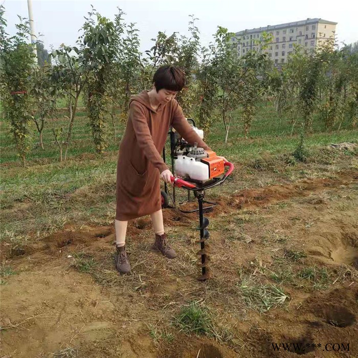 双人植树挖坑机 便携式土地打眼机 钻眼机图5
