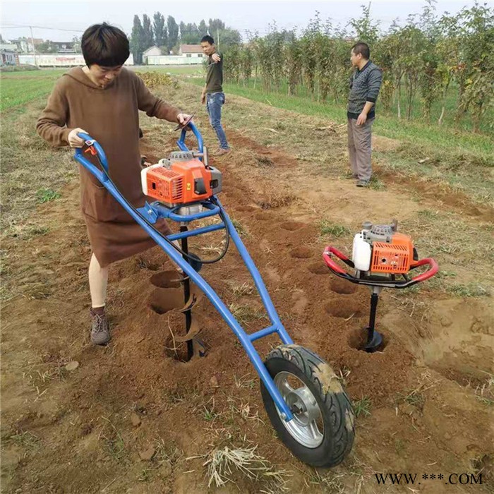 双人植树挖坑机 便携式土地打眼机 钻眼机图3