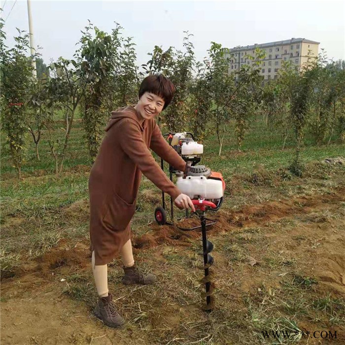 双人植树挖坑机 便携式土地打眼机 钻眼机图6