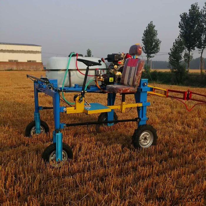 柴油动力打药机 恒泰大马力果树喷药机  农田大面积喷雾均匀打包机价格图7