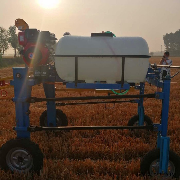 柴油动力打药机 恒泰大马力果树喷药机  农田大面积喷雾均匀打包机价格图3