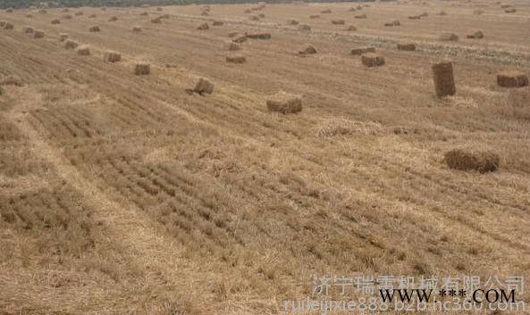 河南瑞雷牌捡拾打捆机 小麦秸秆青储打包机  打捆机性价比高图4