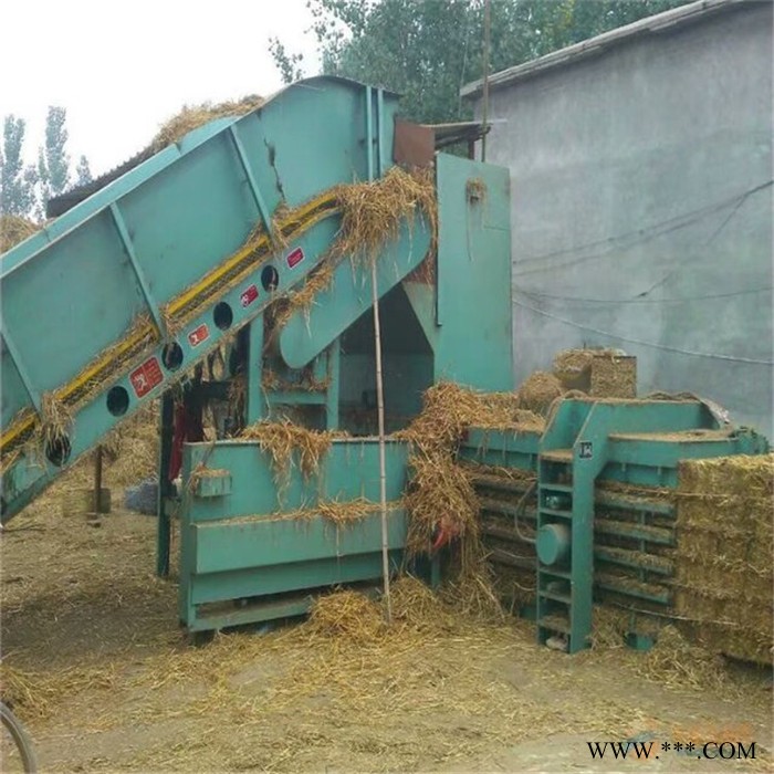 嘉和JH-40加工定制固定式双缸侧翻液压打包机小型废纸废金属打包机图7