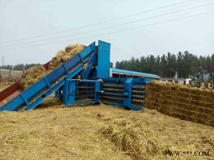 蕾特 蕾特打包机 蕾特废纸打包机图2