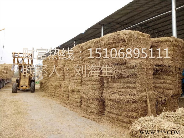 山东海升半自动秸秆打包机现货库存及图片图3