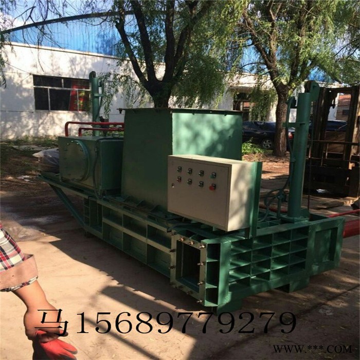 圣泰WS120 全自动卧式打包机图2