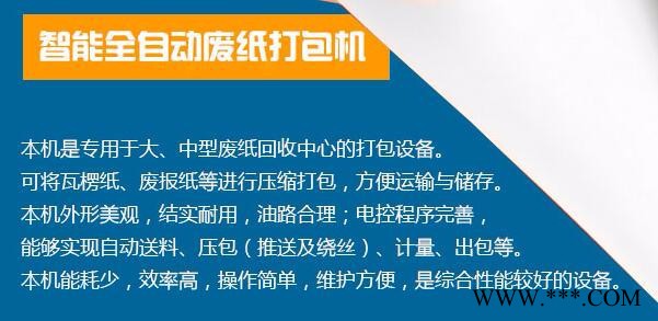 全自动液压废纸打包机图3