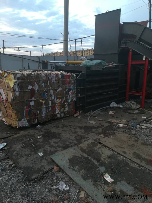 供应**2019款废纸打包机图3